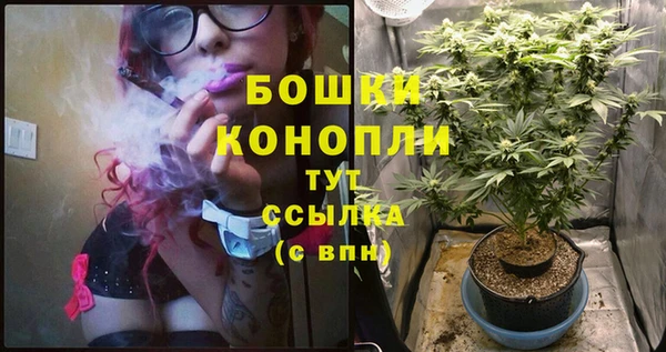 ГАЛЛЮЦИНОГЕННЫЕ ГРИБЫ Бородино
