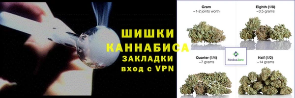 дурь Бронницы